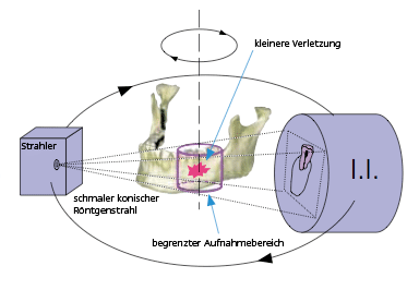 Willkommen bei KiWest